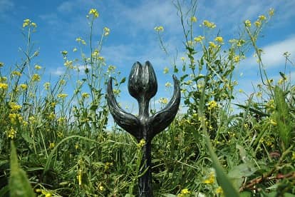 Het beeld van de Mensenrechtentulp: een Nederlandse prijs voor mensenrechtenverdedigers